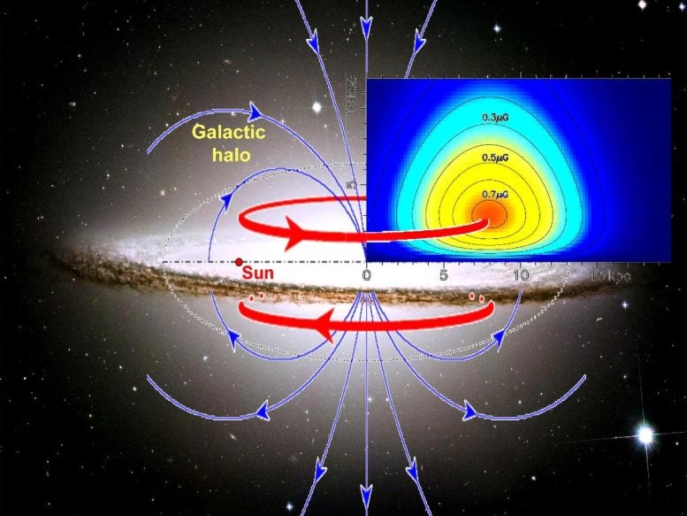 Magnetic Fields in the Milky Way Halo
